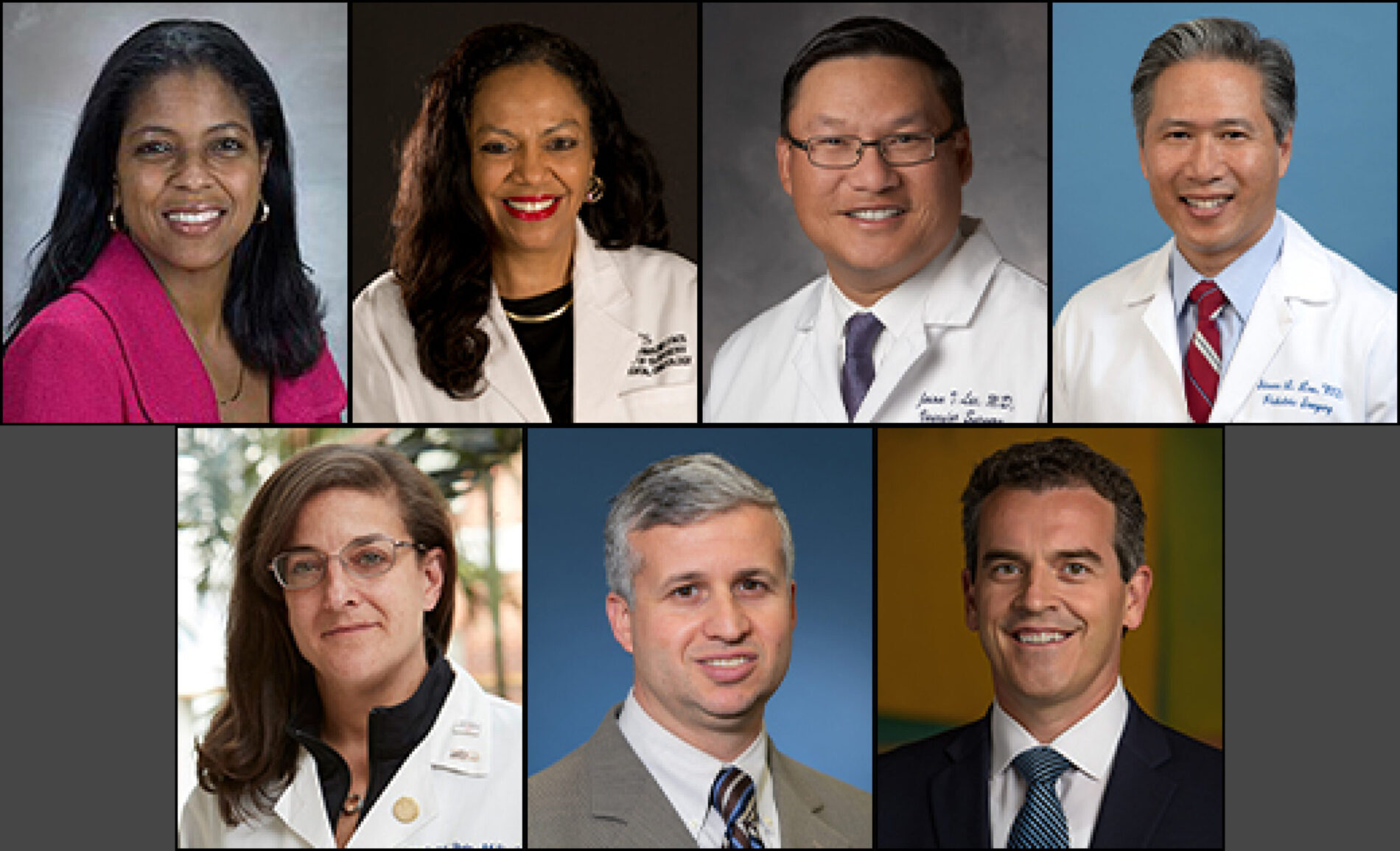 Dr. Hayes-Jordan, Dr. Henry-Tillman, Dr. J. Lee, Dr. S. Lee, Dr. Mansour, Dr. Schanzer, Dr. Stein
